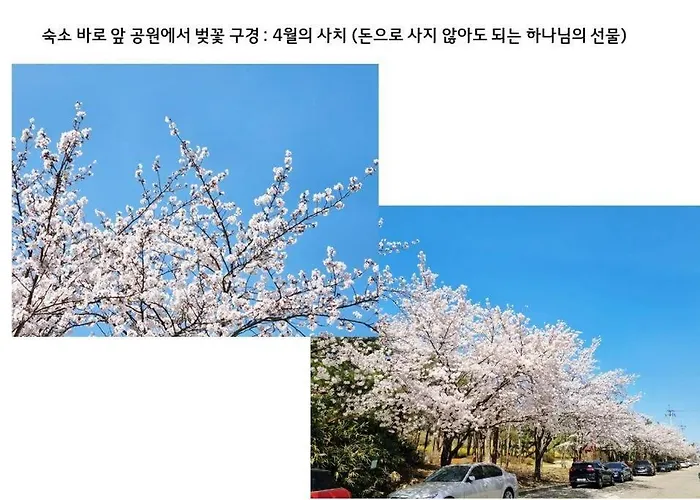 아파트 Luxury Gallery