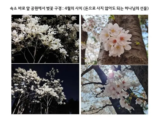 아파트 Luxury Gallery *